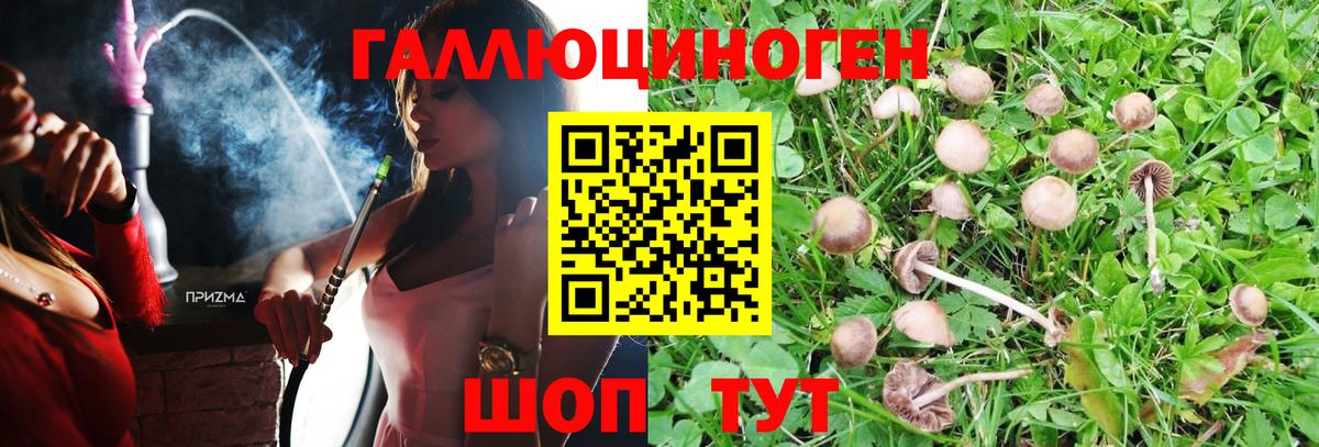 Галлюциногенные грибы MAGIC MUSHROOMS Асбест